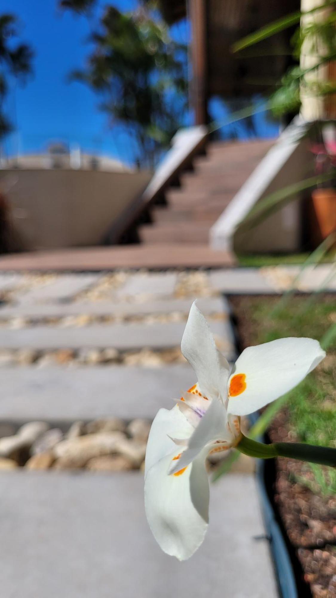 Apart Hotel Beira Do Mar Florianópolis Екстериор снимка